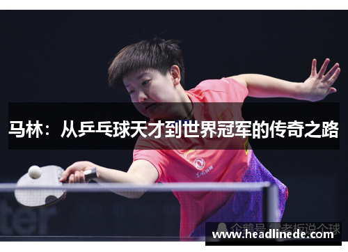 马林：从乒乓球天才到世界冠军的传奇之路