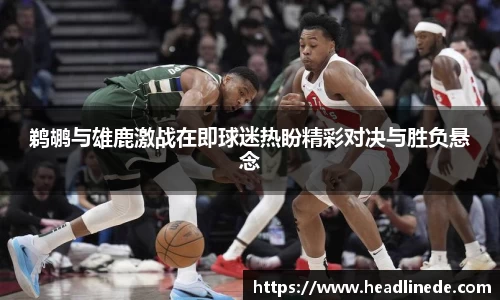 3377体育官网
